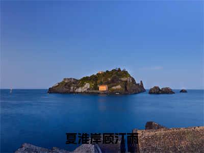 顾汀雨夏淮岸小说免费（夏淮岸顾汀雨免费阅读）夏淮岸顾汀雨全文免费阅读无弹窗大结局_顾汀雨夏淮岸小说最新章节列表