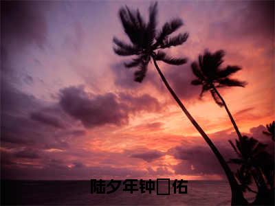 陆夕年钟璟佑（钟璟佑陆夕年）全文免费阅读_陆夕年钟璟佑（钟璟佑陆夕年）最新章节小说免费阅读