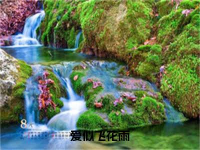 爱似飞花雨（向远安凝）全文免费阅读无弹窗大结局_（爱似飞花雨阅读全文大结局）向远安凝最新章节列表