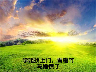 全章节完整《学姐找上门，青梅竹马她慌了》全文阅读《苏言》