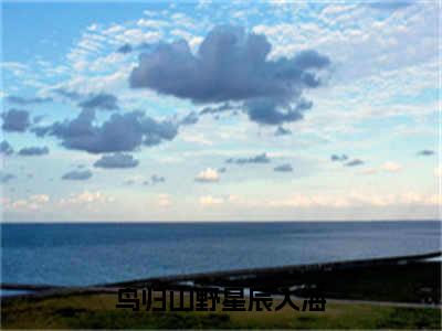 （鸟归山野星辰入海抖音小说）夏眠莺谢逾生小说全文阅读免费