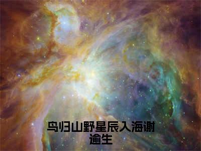 鸟归山野星辰入海谢逾生（夏眠莺谢逾生）全文免费阅读无弹窗大结局_鸟归山野星辰入海谢逾生免费阅读无弹窗最新章节列表