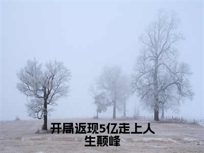 开局返现5亿走上人生颠峰成苒全文免费阅读无弹窗大结局_成苒小说免费阅读