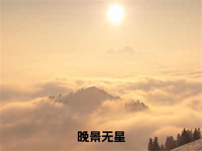 陈晚小说（晚景无星）全文免费阅读-陈晚精彩章节在线阅读