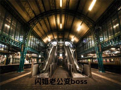 姜沫墨景天（闪婚老公变boss）全文免费阅读无弹窗_闪婚老公变boss最新小说_笔趣阁（姜沫墨景天）