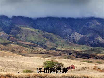 （许初遥迟峥小说完整版）许初遥迟峥全文免费阅读-（许初遥迟峥）许初遥迟峥小说最新章节列表