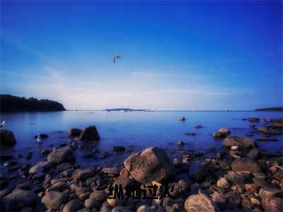 纵她过火慕景炎林夏精彩章节-纵她过火慕景炎林夏完整版阅读