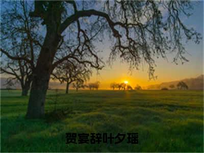 贺宴辞叶夕瑶小说好看吗贺宴辞叶夕瑶热门推荐小说（叶夕瑶贺宴辞）全章节阅读_笔趣阁