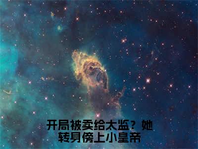 洛舒宁完整版（开局被卖给太监？她转身傍上小皇帝小说）全文免费阅读无弹窗大结局_开局被卖给太监？她转身傍上小皇帝最新章节