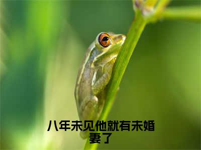 简夏陆瑾年八年未见他就有未婚妻了免费阅读无弹窗小说简夏陆瑾年最新章节