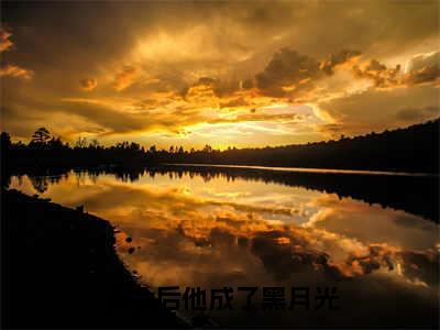 《换命后他成了黑月光》谢夕苒上官清焰（大结局小说全集完整版）谢夕苒上官清焰小说_换命后他成了黑月光全文阅读笔趣阁