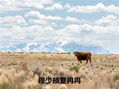 人气小说穆少楠夏冉冉在线阅读-正版小说《穆少楠夏冉冉》夏冉冉穆少楠全文阅读