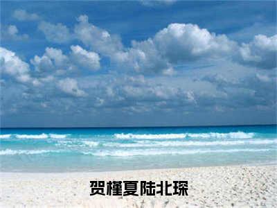 陆北琛贺槿夏小说最后结局-贺槿夏陆北琛完结版免费阅读