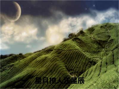 星月撩人江星辰（苏月江星辰）全文免费阅读无弹窗大结局_星月撩人江星辰最新章节列表_笔趣阁（苏月江星辰）