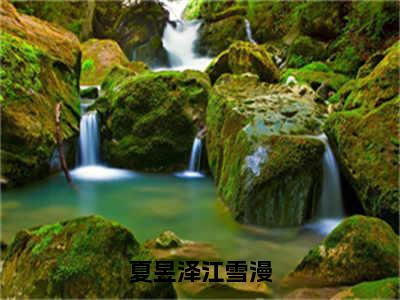 江雪漫夏昱泽（夏昱泽江雪漫）全文免费阅读无弹窗_江雪漫夏昱泽最新小说_笔趣阁