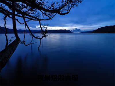 《夜景煜殷青璇》无弹窗大结局-（殷青璇夜景煜）无弹窗阅读最新章节列表_笔趣阁