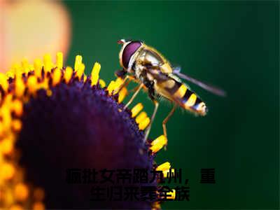 疯批女帝踏九州，重生归来葬全族（慕灵鸠陆止白）最新章节阅读-热点小说榜单推荐慕灵鸠陆止白