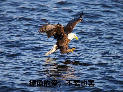 段嘉聿顾明月（褪色的爱，不要也罢）全文免费阅读无弹窗大结局_段嘉聿顾明月最新章节列表_笔趣阁