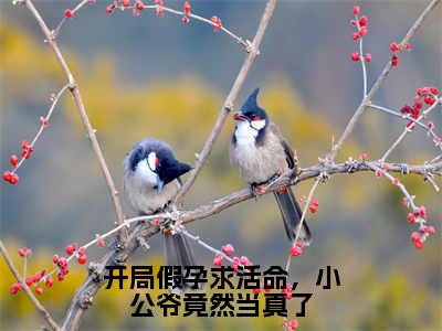 萧逸尘林婉兮小说叫什么名字（开局假孕求活命，小公爷竟然当真了）完整版大结局-萧逸尘林婉兮小说在线阅读