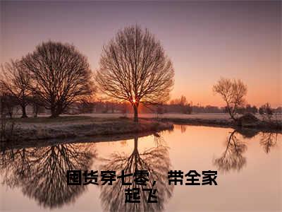 （全文）+（后续）（宋晚晚）囤货穿七零，带全家起飞老书虫推荐小说热文-囤货穿七零，带全家起飞最新更新免费阅读