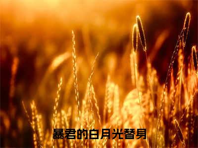 暴君的白月光替身（祁渊林夕梦）全文免费阅读无弹窗大结局_祁渊林夕梦免费最新章节列表_笔趣阁