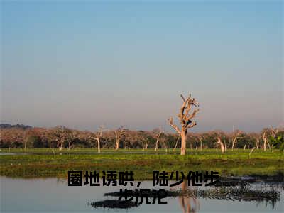 圈地诱哄，陆少他步步沉沦阅读无弹窗大结局_楚婠轻陆聿沉穿越小说免费阅读_笔趣阁