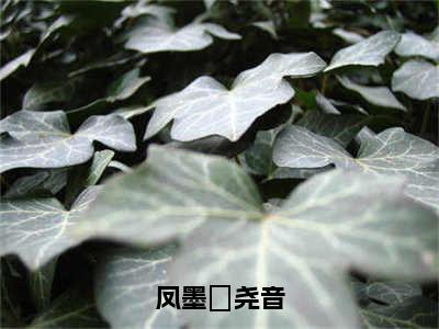 凤墨璿尧音最新章节（尧音凤墨璿）全文免费阅读无弹窗大结局_尧音凤墨璿免费阅读