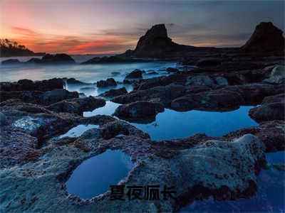 夏夜疯长（严续何青夏）全文免费阅读无弹窗大结局_夏夜疯长全文免费完结版阅读（严续何青夏）