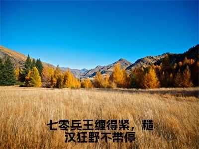 七零兵王缠得紧，糙汉狂野不带停小说（陆景宴夏微）全文免费阅读无弹窗大结局_（七零兵王缠得紧，糙汉狂野不带停）陆景宴夏微小说免费阅读最新章节列表