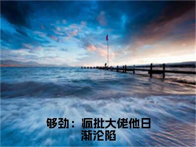 祁湛乔纾意小说（够劲：疯批大佬他日渐沦陷）全文免费阅读无弹窗大结局_祁湛乔纾意小说最新章节列表_笔趣阁