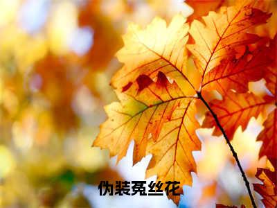 伪装菟丝花在线阅读无弹窗_夏晓琳林锦昭最新章节列表_笔趣阁