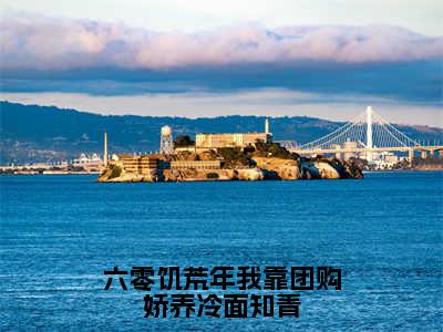 六零饥荒年我靠团购娇养冷面知青全文免费阅读大结局-（拾月何立轩）最新章节列表在线阅读