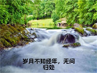 岁月不知经年，无问归处（陈子仪林景元）全文免费阅读无弹窗大结局_岁月不知经年，无问归处全文免费阅读最新章节列表_笔趣阁