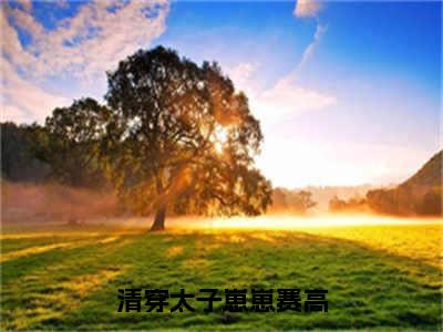 繁英胤礽小说清穿太子崽崽赛高全文免费阅读无弹窗-正版小说（清穿太子崽崽赛高）繁英胤礽全文阅读