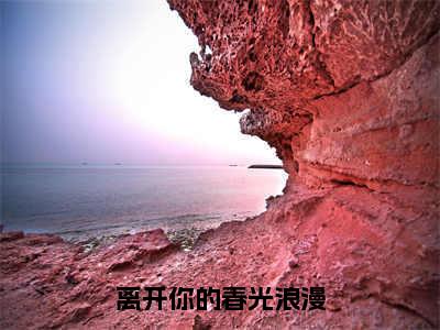 离开你的春光浪漫（温时容宋景晏）全文免费阅读无弹窗大结局_温时容宋景晏小说最新章节列表