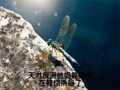 天才反派他妈靠美食在娃综杀疯了（南枝）全文免费阅读_天才反派他妈靠美食在娃综杀疯了言诺诺，井傅宸小说最新章节列表笔趣阁